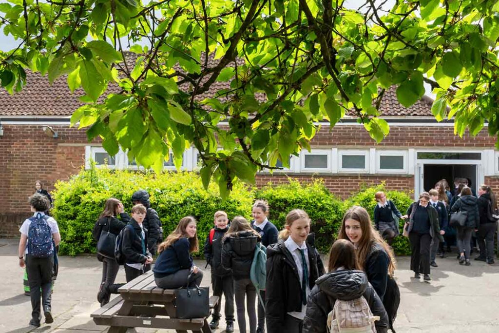 Year 8